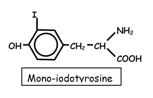 structure-mono-iodotyrosine.jpg